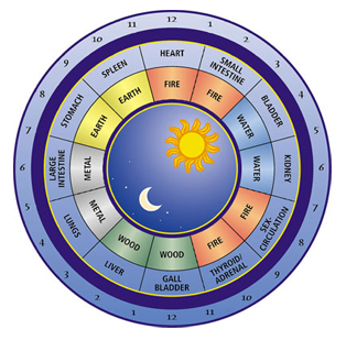 Chinese Medicine ‘Meridian Clock'