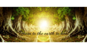 Trees and a pathway to light of earth energy